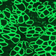 Scientists say they used the gene editing technology CRISPR in dogs to treat an incurable genetic disorder caused by a lack of the protein dystrophin. Above, an image of a dog’s diaphragm after the treatment, with the restored dystrophin seen in green.